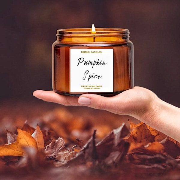 Large soy autumn scented candle,pumpking spice,amber jar candle,two wick candle,autumn gift,autumn home decor,fall candle,container candle