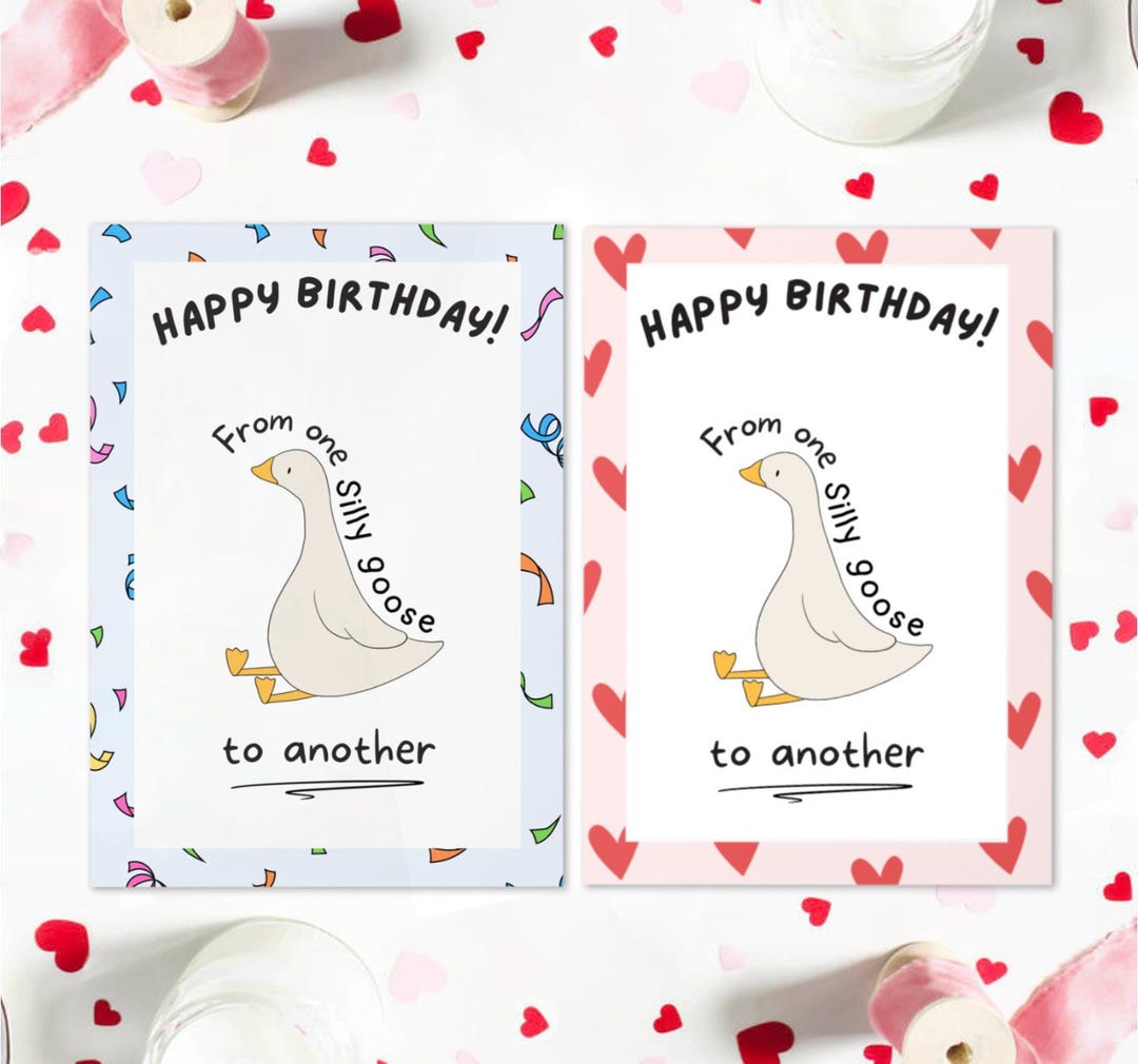Funny Silly Goose Birthday Card | Humorous A5 Greeting Card - Etsy