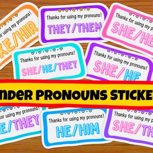 Bedankt voor het gebruiken van mijn voornaamwoordenstickers | LGBTQ+ homo-stickers | niet-binair, genderqueer, hij hem zij haar zij ze xe ze hir Genderfluid cis