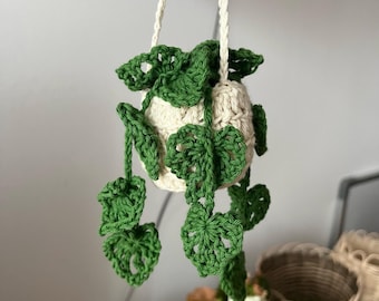 May include: A crocheted hanging planter with a white pot and green leaves. The planter is hanging from a white cord.