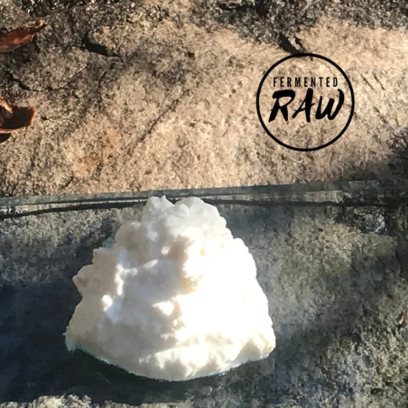 Kefir is a fermented milk product that is beneficial to a health Kefir is a fermented milk product that is beneficial to a health