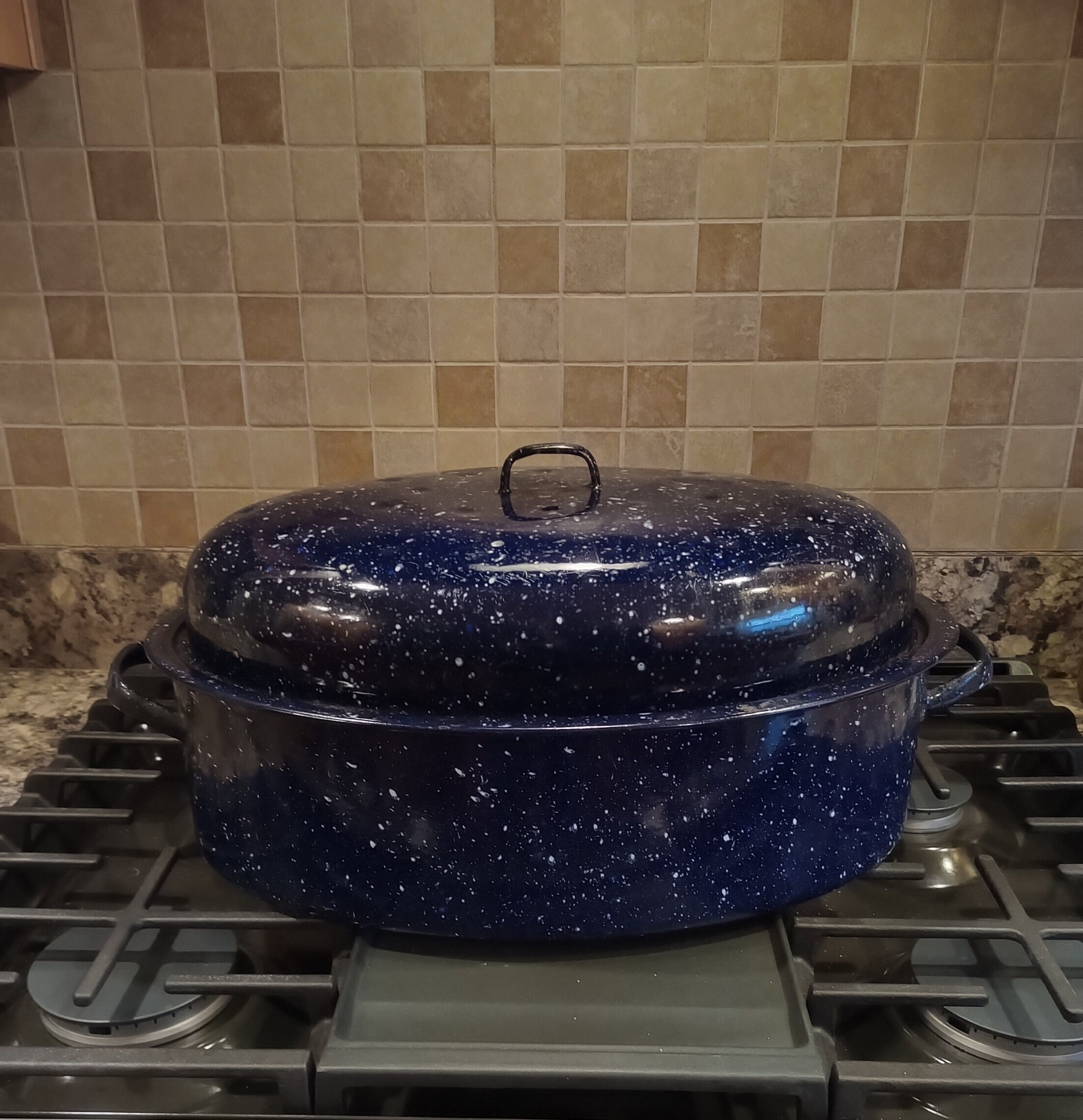 Vintage Large Blue Speckled Enamel Roasting Pan Etsy