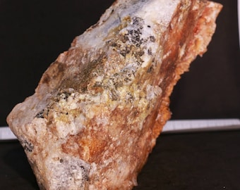 High grade Gold Ore in quartz with sulfides and pyrite. Huge piece