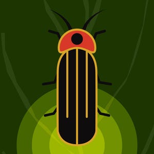 Lightning Bug 11x14&quot; Giclée Print - Midwest Whimsy Exhibition - Firefly Art