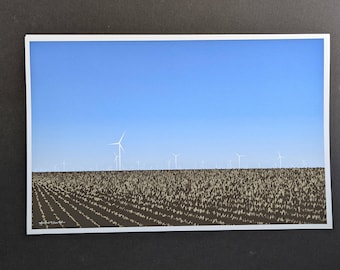 Blue Sky Windmühlen Giclée Druck - Midwest Whimsy Ausstellung