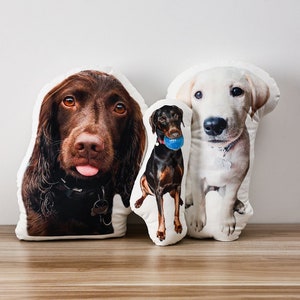 Oreiller personnalisé Pet Face Coussin Poupées Image Animale Forme 3D  Impression Oreiller Décoratif Personnalisé Chien Chat Image Coussin Cadeau  -  France