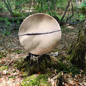 Könnte beinhalten: Eine runde, beige Trommel mit einer dunklen Linie in der Mitte, die auf einem moosbewachsenen Baumstumpf in einer Waldumgebung ruht. Die Oberfläche der Trommel hat ein strukturiertes Aussehen. Der Hintergrund zeigt grüne Bäume und Herbstlaub.
