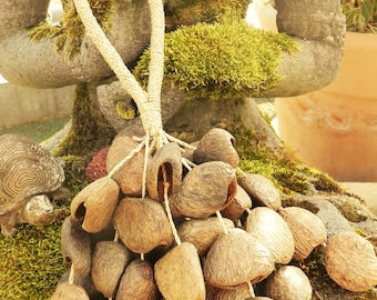 Cascabel grande, sonajero de semillas XXL, potente herramienta chamánica, sonajero de materiales naturales, pulsera de baile, mango de sisal, tono natural