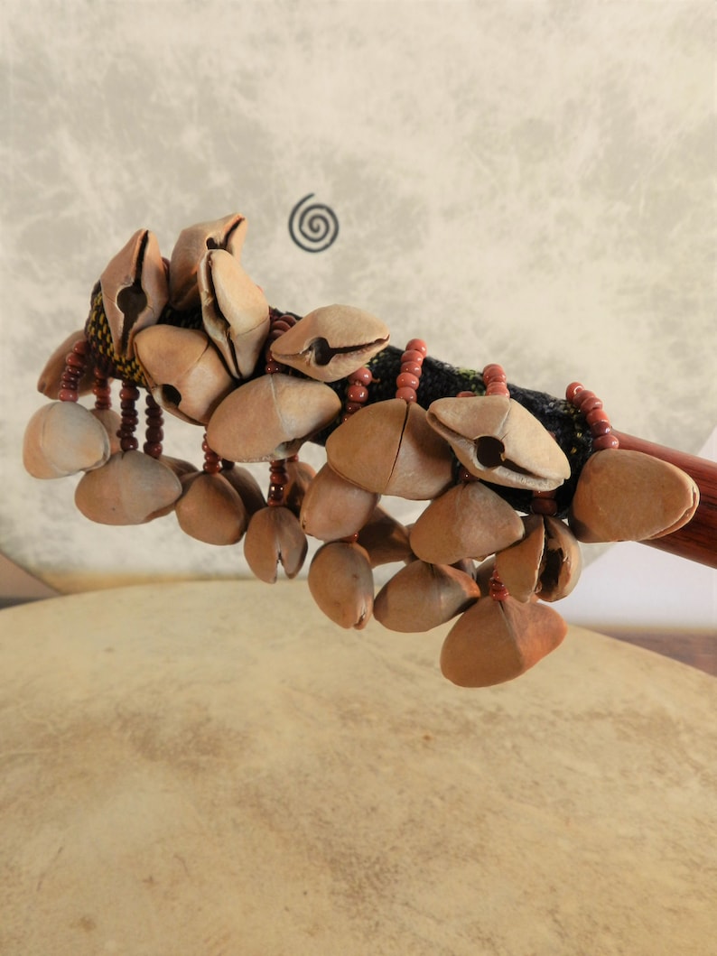 Puede incluir: Primer plano de un instrumento de percusi&oacute;n, probablemente una sonaja o un agitador. El instrumento presenta numerosas vainas de semillas de color marr&oacute;n claro unidas a un mango tejido oscuro con cuentas rojas. El fondo muestra un parche de tambor y un dise&ntilde;o en espiral.