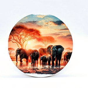 South Africa animals sunset coaster set image 4
