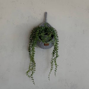 May include: A gray macrame plant hanger with a small potted plant hanging from it. The plant has green leaves and is hanging against a white wall.