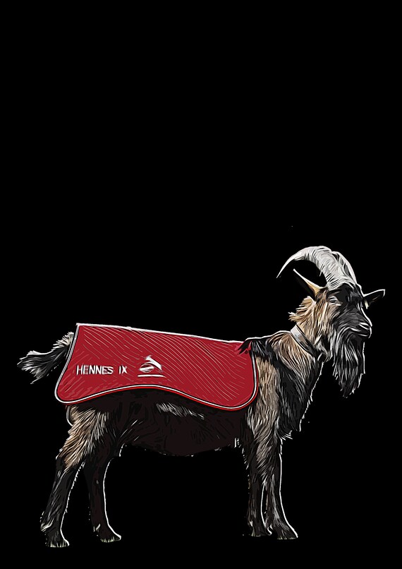 Hennes sportswear online