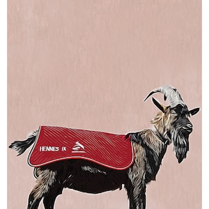 Geissbock, Köln, Fan, Fußball, Tier, Maskottchen, Animal, Poster, Cologne, Fanart, Illustration, Poster, Wanddeko, Soccer, Colonia, Sport Bild 5