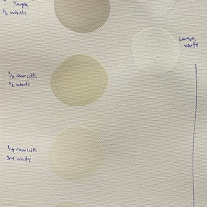 May include: A white canvas with six paint swatches, each labeled with a different color and paint mixture. The swatches are labeled "Steam", "Silver Satin", "White", "Lamp White", "1/2 Raw Silk 1/2 White", "1/4 Raw Silk 3/4 White", "White Splash of Algonquin", and "1/2 Goddell Algonquin 1/2 White".