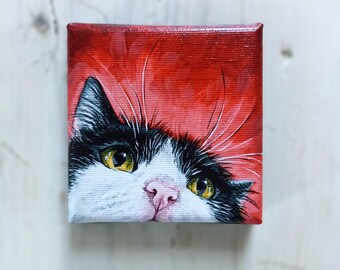 Gato blanco y negro, retrato pintado a mano sobre lienzo.