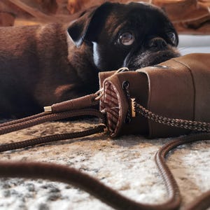 Puede incluir: Una bolsa de lona marr&oacute;n con una correa a juego y herrajes dorados. Un perro pug negro est&aacute; acostado junto a la bolsa, mirando a la c&aacute;mara. La bolsa tiene un interior a rayas.