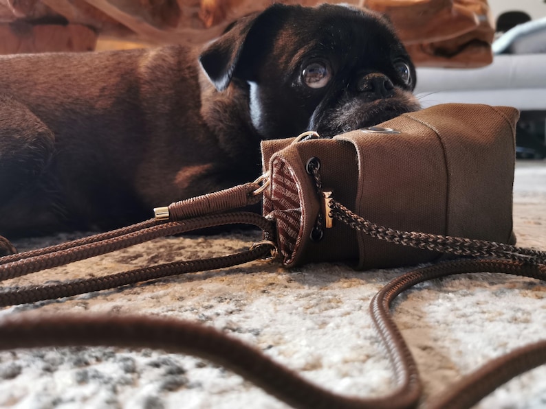 Puede incluir: Una bolsa de lona marr&oacute;n con una correa a juego y herrajes dorados. Un perro pug negro est&aacute; acostado junto a la bolsa, mirando a la c&aacute;mara. La bolsa tiene un interior a rayas.