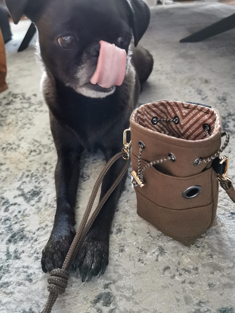 Puede incluir: Una bolsa marr&oacute;n para golosinas de perro con cierre de cord&oacute;n y una correa a juego. La bolsa tiene un peque&ntilde;o bolsillo en la parte delantera y un cierre dorado. Un carlino negro con la lengua fuera est&aacute; en el fondo.