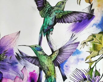 Hummingbirds