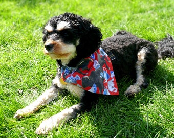 Cotton Dog Bandana - Like a Bull in a China Shop (red) - Collar - Puppy Scarf