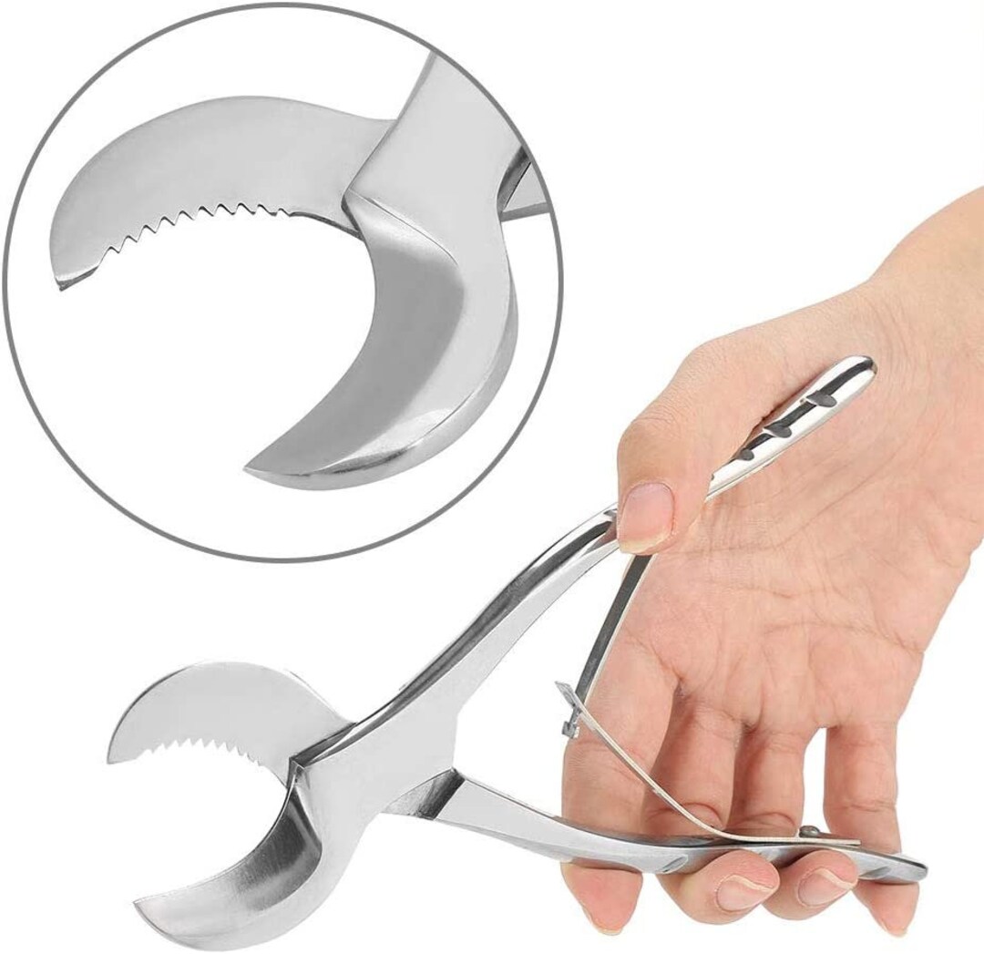 Stainless Steel Plaster Cast Cutting Scissors: 6.5