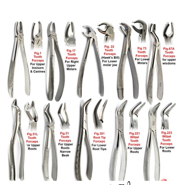Dental Tooth Extraction Forceps for Upper & Lower Molars Oral Surgery  Pliers Set 
