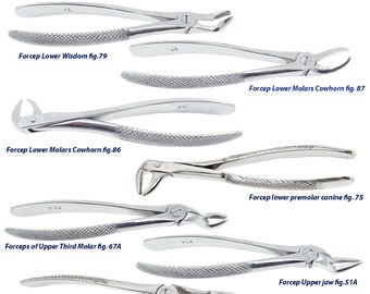 Strumentario Dentistico HTI Pinza Per Estrazione Dentale HTI Modello 849 In Acciaio Inox - Grado #44, Per Laboratorio Odontoiatrico Pinza Dentale O.R Grado 44