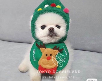 Christmas tree hat for Pet