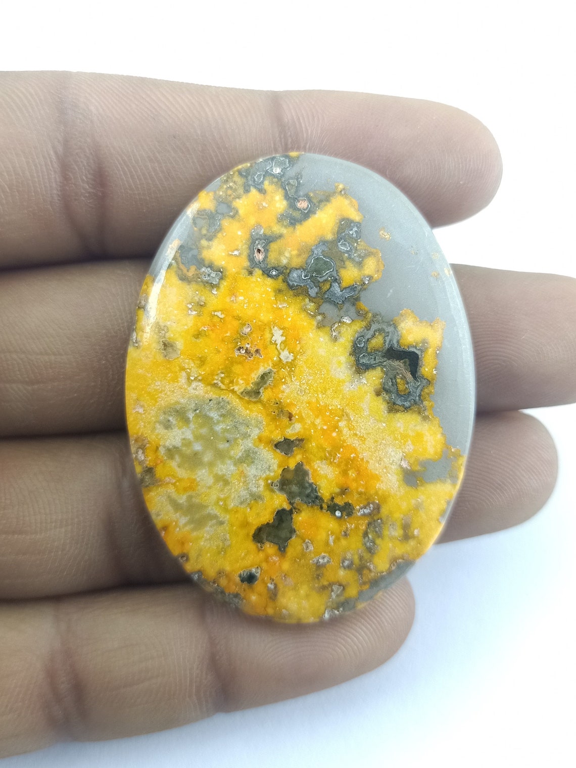 bee jasper bee jasper