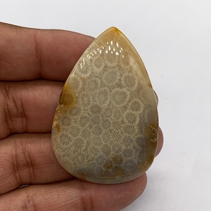 fossil coral cabochons , Natural fossil coral Cabochon Loose Gemstone for jewelry Making