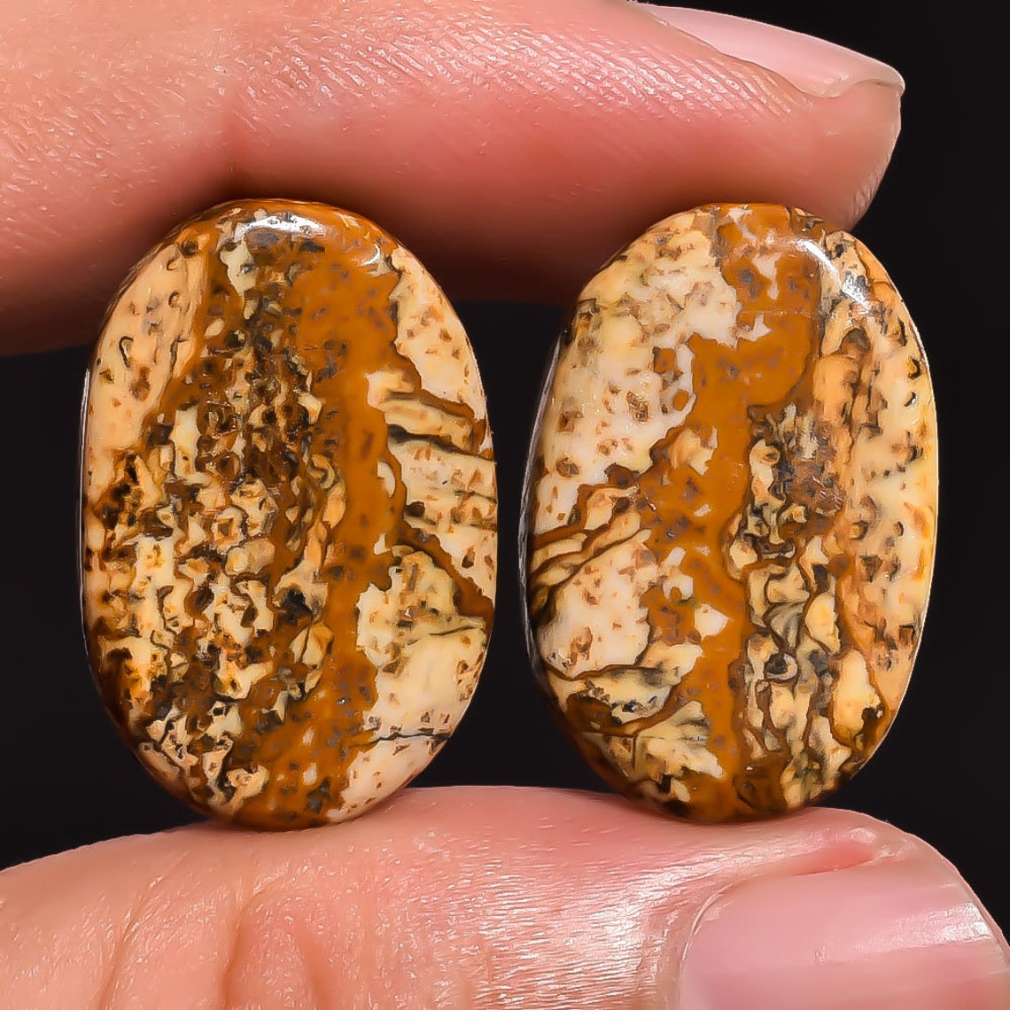Picture Jasper Natural Picture Jasper Cabochon Loose Etsy