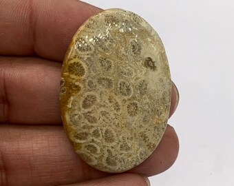 化石サンゴカボション - 天然宝石、ルースストーンロット - Etsy 日本