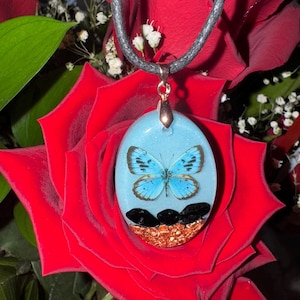 Könnte beinhalten: Ovale Anhänger Halskette mit einem blauen Schmetterling in hellblauem Harz. Der Anhänger hat eine kupferfarbene Basis mit schwarzen Steinen und hängt an einer schwarzen Kordel. Der Hintergrund ist eine rote Rose.