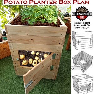 May include: A wooden potato planter box plan with dimensions of 80 cm high, 62 cm long, and 62 cm wide. The plan includes a detailed diagram of the box with a hinged door for harvesting potatoes.