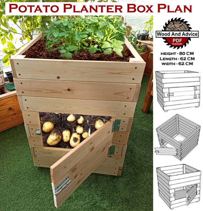 May include: A wooden potato planter box plan with dimensions of 80 cm high, 62 cm long, and 62 cm wide. The plan includes a detailed diagram of the box with a hinged door for harvesting potatoes.