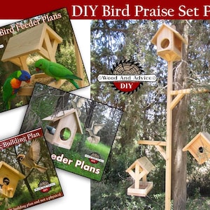 DIY Bird Praise Set Plan,4 DIY plans,Birdhouse, Parrot Feeding House, DIY Birdhouse,Stand for your return