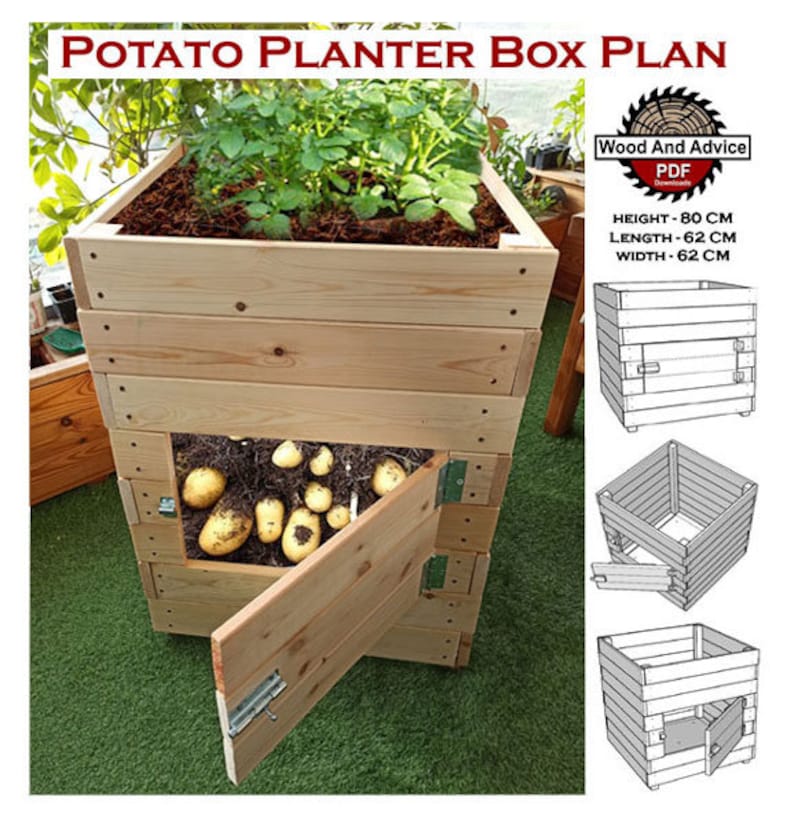 May include: A wooden potato planter box plan with a diagram showing the dimensions of the box. The box is 80 cm high, 62 cm long, and 62 cm wide. The plan includes a door for harvesting potatoes.
