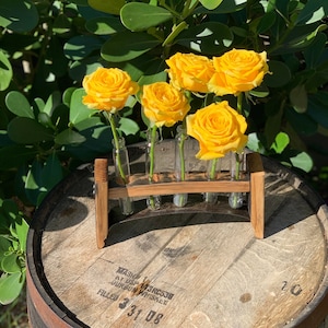 Handmade Whiskey Barrel Test Tube Tray: Plant Propagation Stand