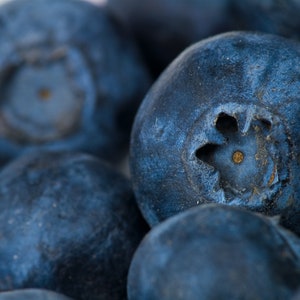 May include: Close-up of a group of blueberries, showing their deep blue color and textured surface.