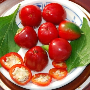 USA SELLER ""Sweet"" Cherry Pepper 25 seeds HEIRLOOM