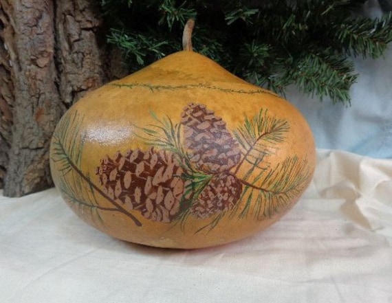 USA SELLER Tobacco Box Gourd 10 Seeds Heirloom(lagenaria Siceraria)