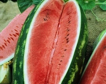 USA SELLER All Sweet Watermelon 25 seeds HEIRLOOM (Citrullus lanatus)