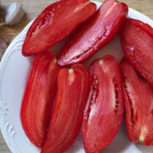 USA SELLER Opalka Paste Tomato - 25 Heirloom Seeds (Solanum lycopersicum)