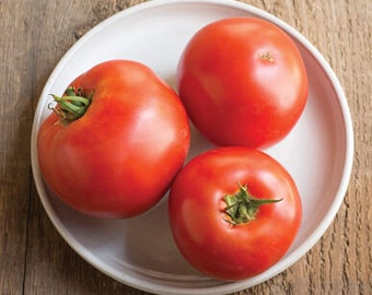 USA SELLER Big Beef Tomato 25 seeds HEIRLOOM (Solanum lycopersicum)