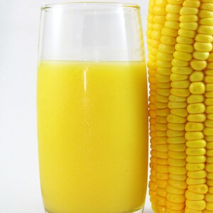 USA SELLER Argent Corn 25 seeds HYBRIDZea mays image 8
