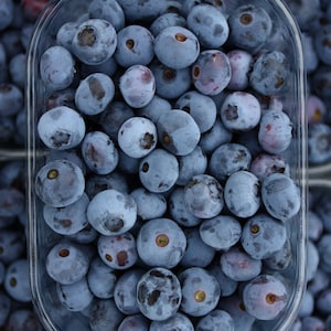 May include: A clear glass container filled with fresh blueberries. The blueberries are a deep blue color and are arranged in a close-up view.