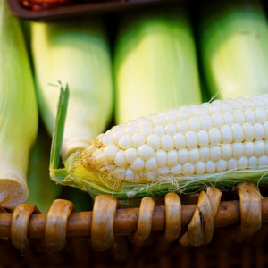 May include: A close-up of a white corn cob in a wicker basket with several green corn husks in the background.