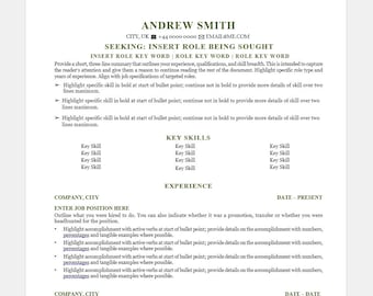 Professional Resume Template: ATS Friendly CV (Digital Download)