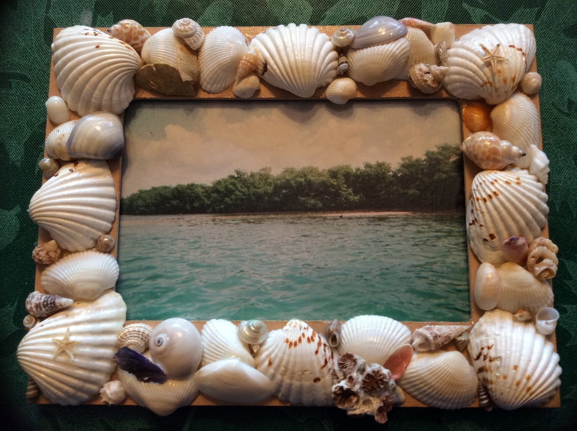 Shell Picture Frame Etsy