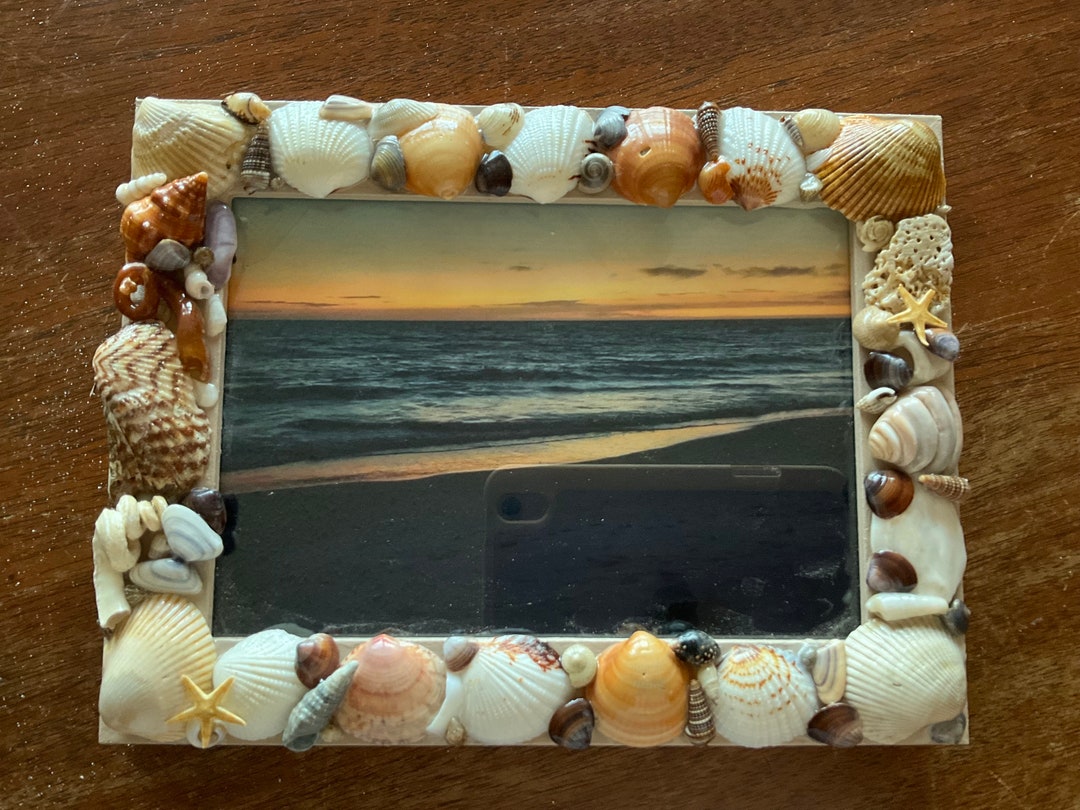 Seashell Frames - Etsy